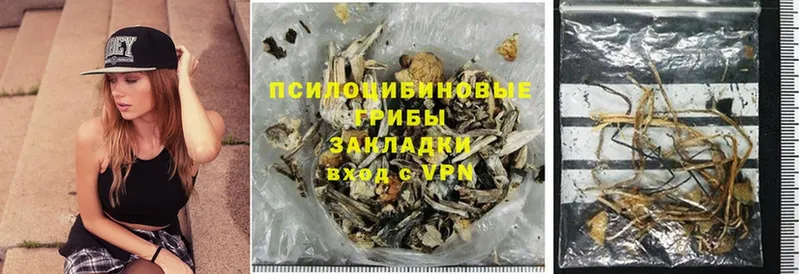 Галлюциногенные грибы Psilocybe  Ковдор 